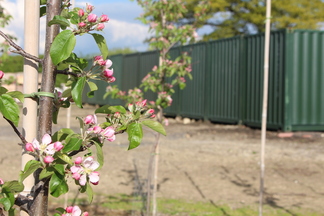 Container photo 6